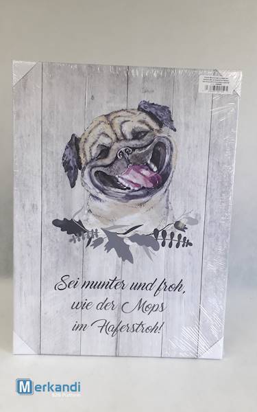 Obraz / Pictur Pies 46x61cm