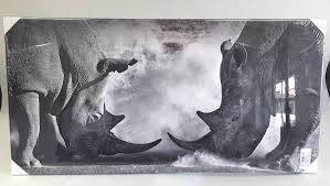 Obraz Nosorozec / Pictur 50x100cm