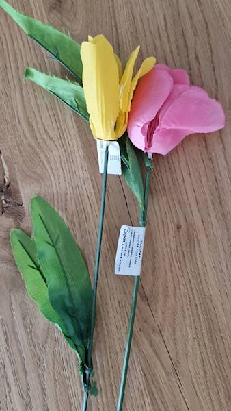 Kwiat tulipan mix kolor ARP/Tulip flower mix color