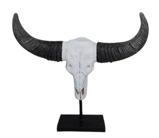 Czaszka byka z rogami / Bull skull with horns