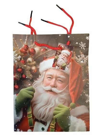 Torebka prezentowa swiateczna TT12162 / Christmas gift bag
