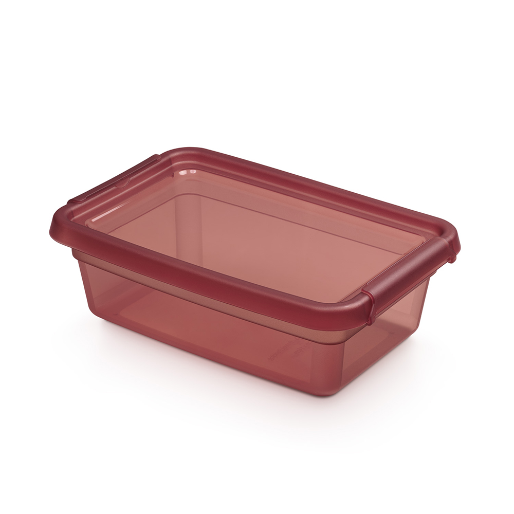 Pojemnik 3 l z pokrywka rabarbar 2.GAT / 3L container with lid, rhubarb 