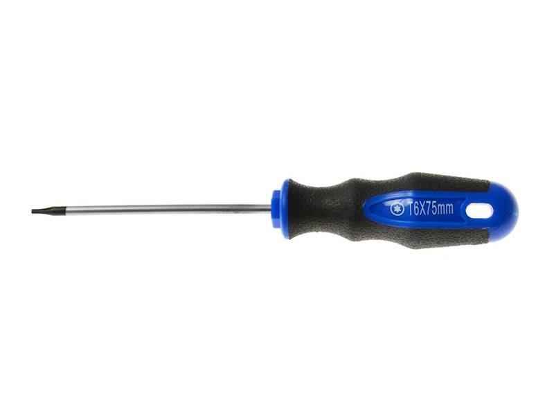 WKRĘTAK TORX T6x75mm GEKO