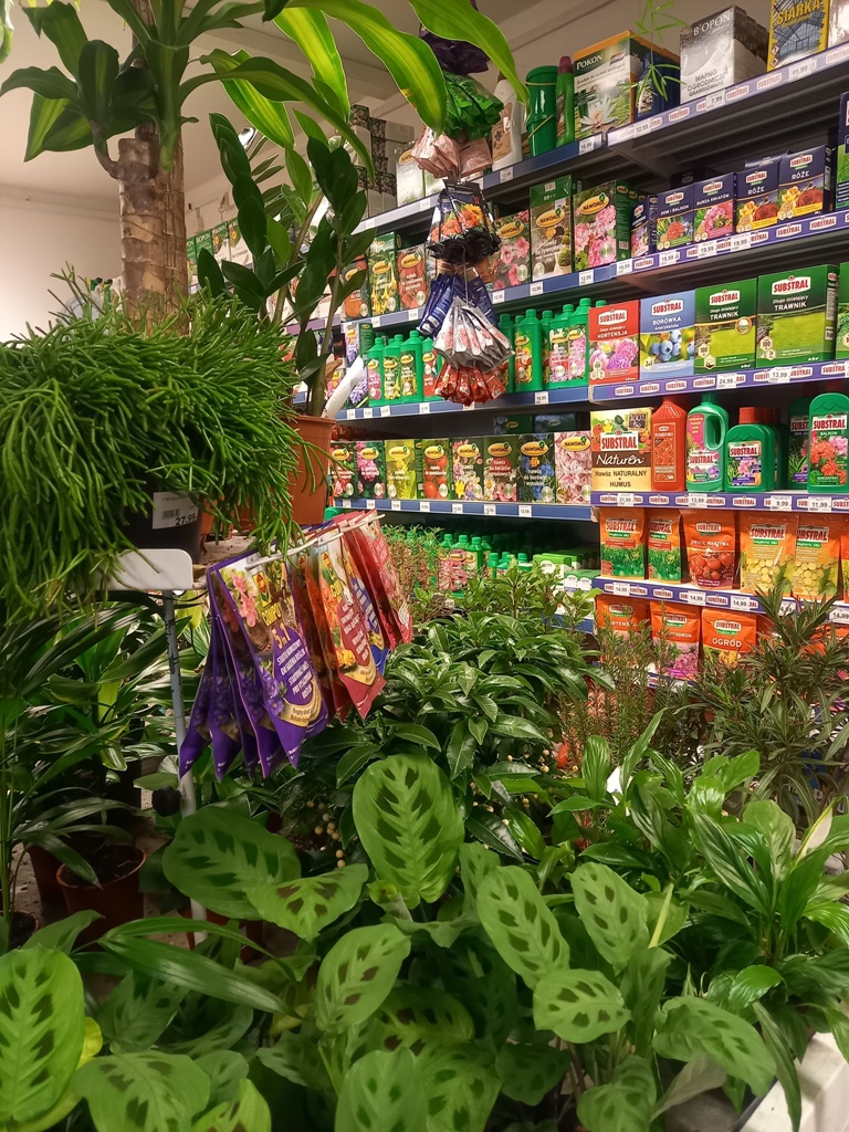 Plant(18).jpg
