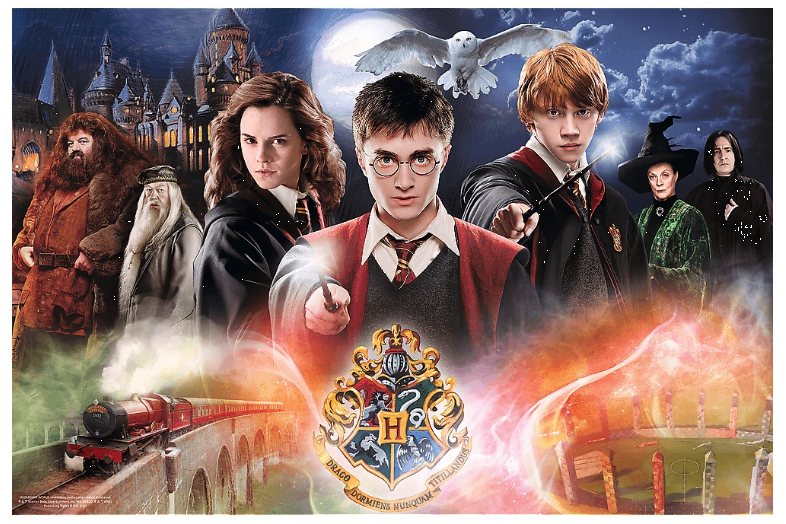 TREFL PUZZLE 300EL TAJEMNICZY HARRY POTTER 23001