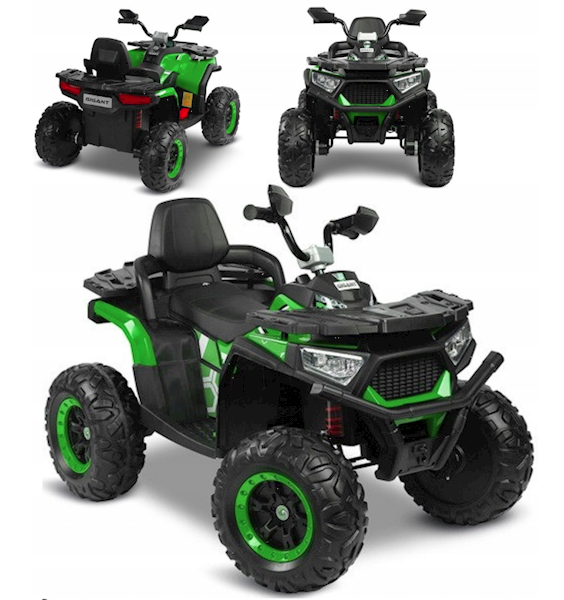 TOYZ POJ/AKU QUAD GIGANT GREEN 71556