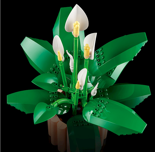 LEGO BOTANICALS SKRZYDŁOKWIAT 11504+