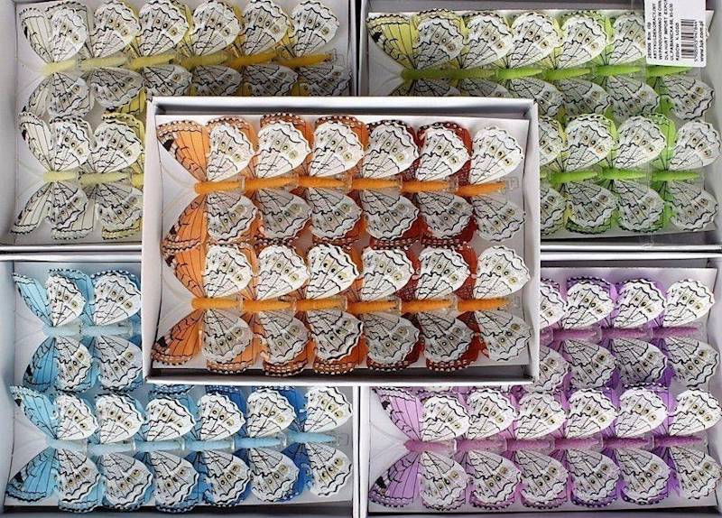 Motyle 8cm klips S/12