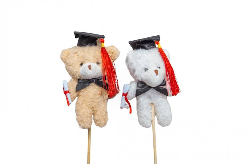 Miś student na piku