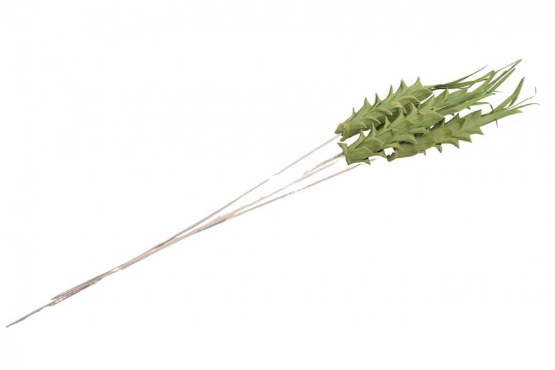 Knejur Pine Apple Direct Green on 15cm stem