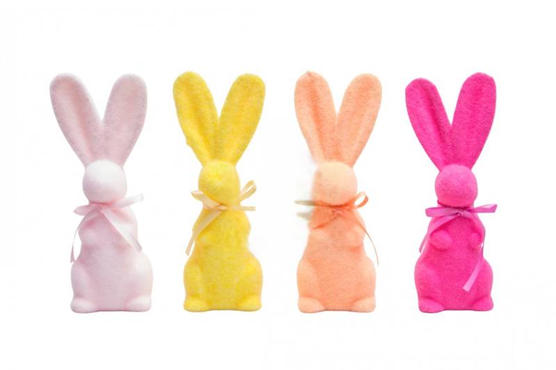 Zając flok. MIX 4 kol.