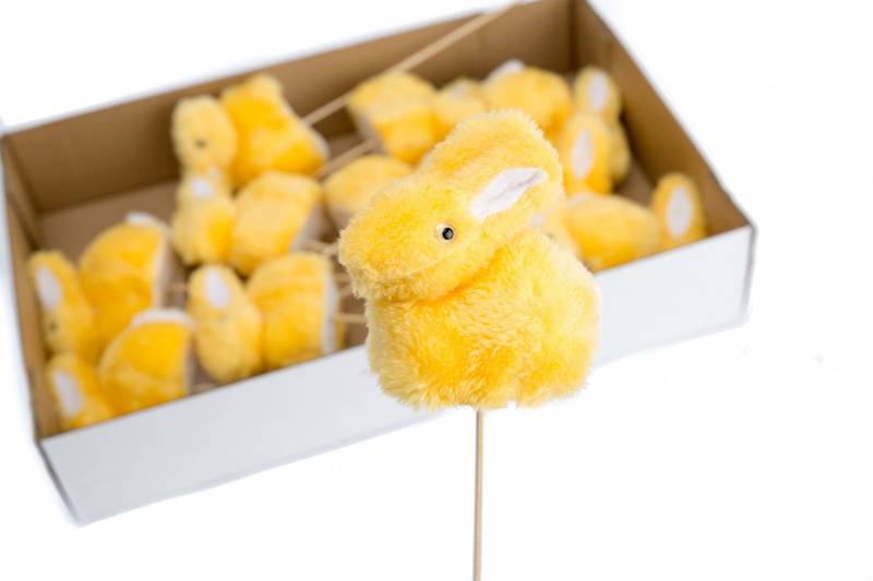 Zajączki na piku S/12