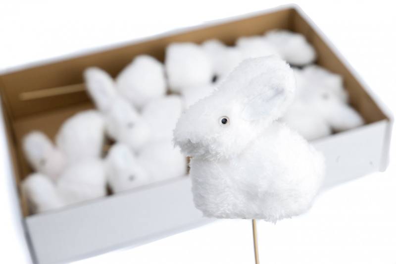 Zajączki na piku S/12