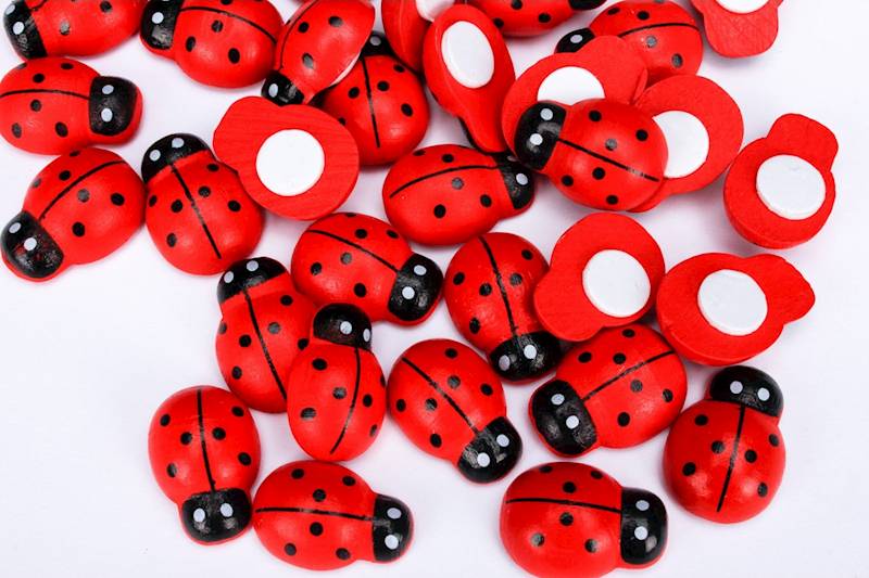 Biedronka sticker duża S/36