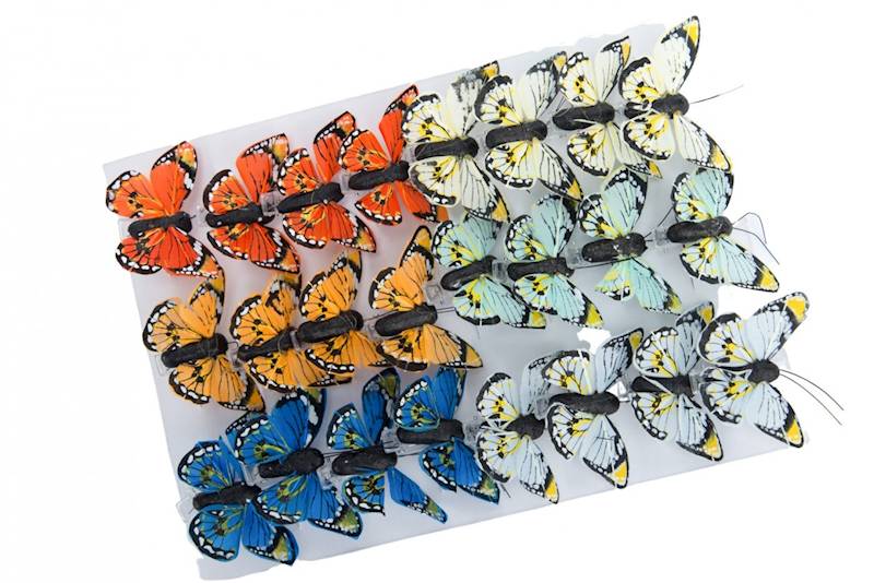 Motyle 5cm klips S/24