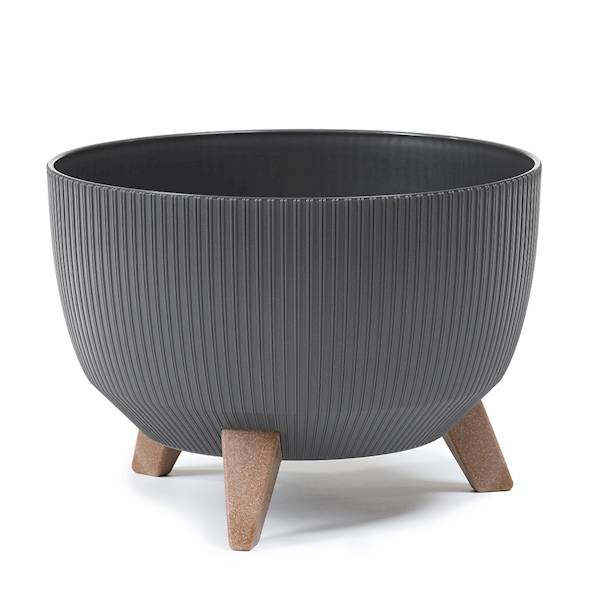 Misa ROMA Jumper 240mm