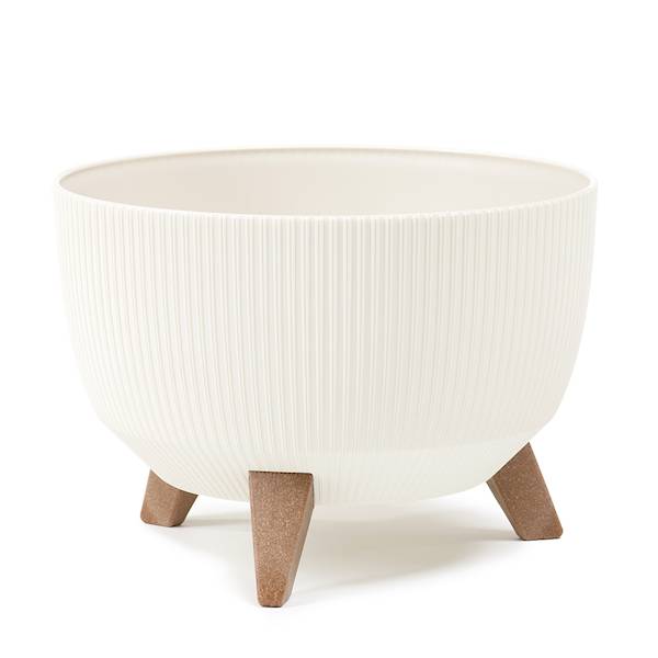 Misa ROMA Jumper 240mm