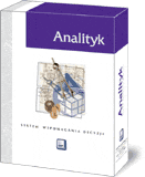 Program komputerowy Analityk