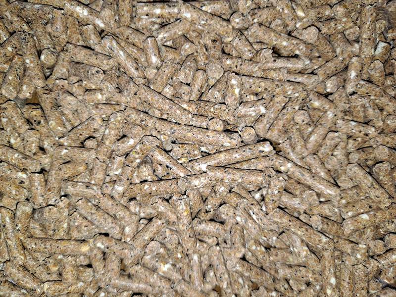 Pasza  OPAS BUKAT  (25 kg x 40 szt)