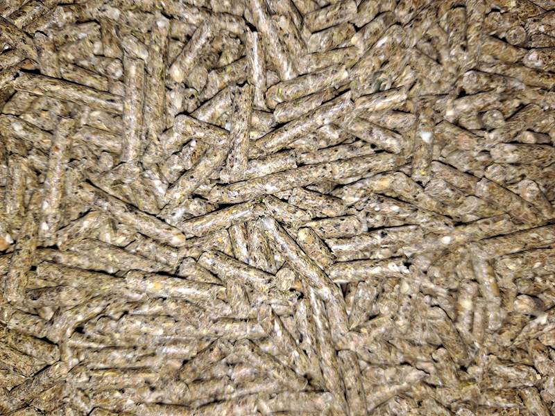 KRÓLICA AKORD ( worek a 25 kg x 40 szt )