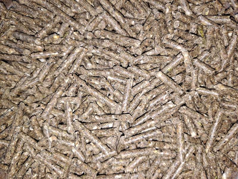 KRÓLIK TUCZ AKORD (worki a 25 kg x 40 szt)