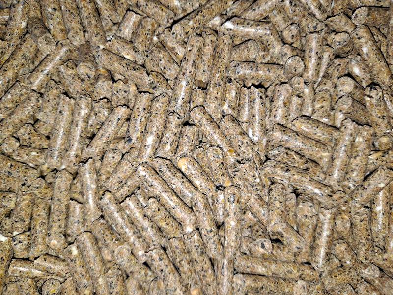 KROWA KRASULA 22 ( worek a 25 kg x 40 szt)