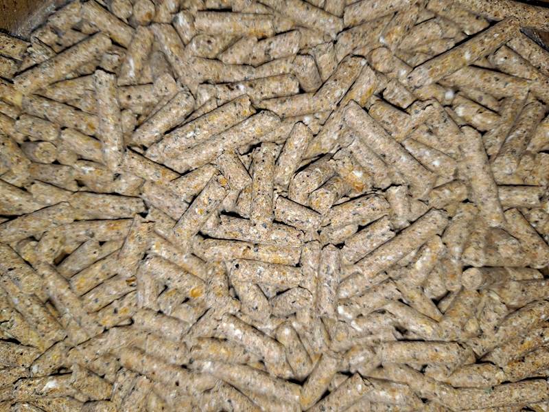 KROWA KRASULA 23 (worek a 25 kg x 40 szt)