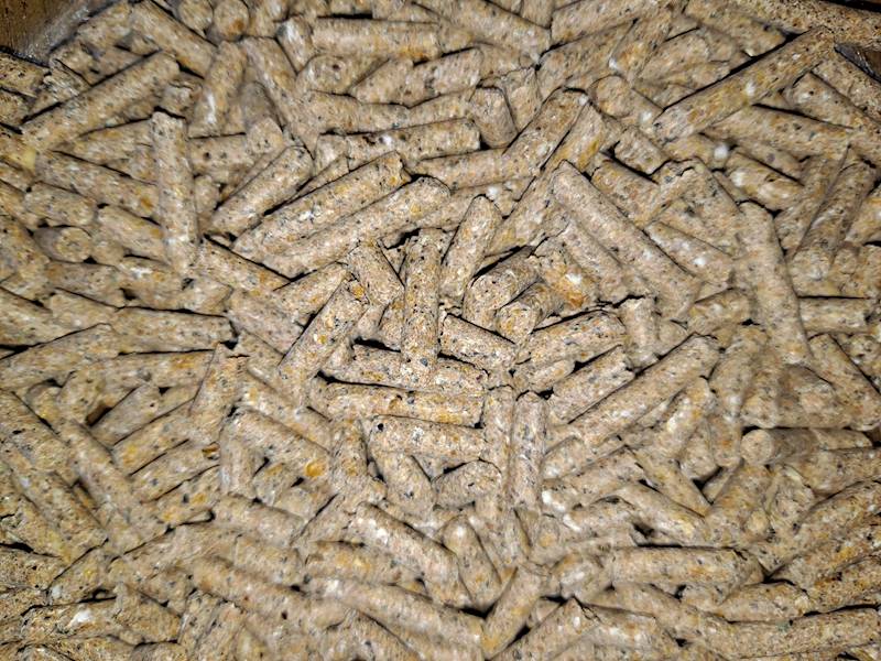 KROWA KRASULA 23 worek a 25 kg 