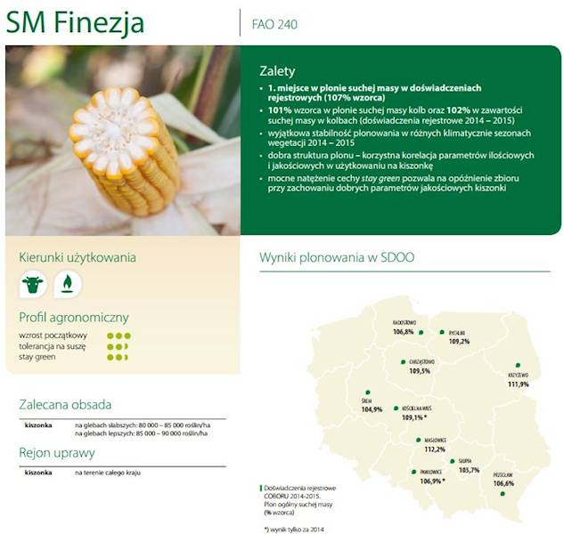 Kukurydza SM Finezja F1 C1