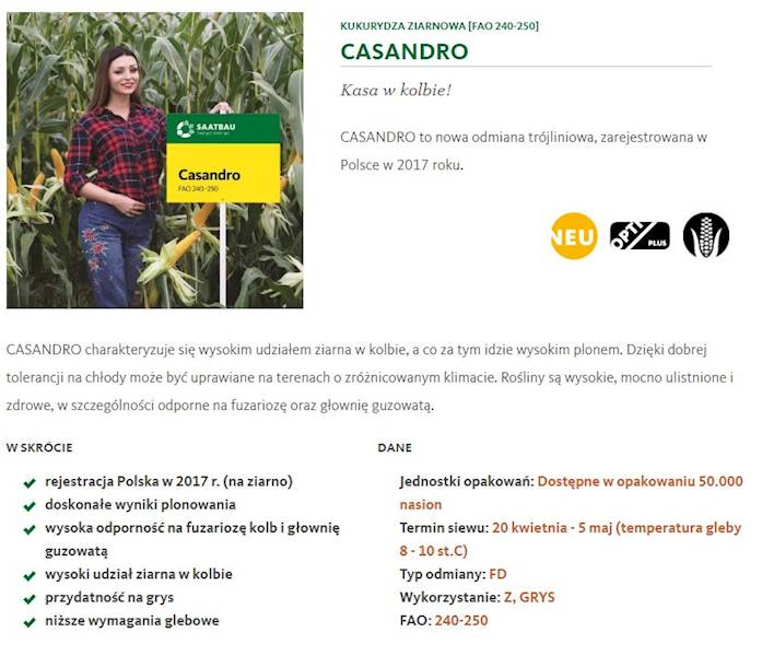 Kukurydza CASANDRO  C/1 PL402/18/76/A0419/A