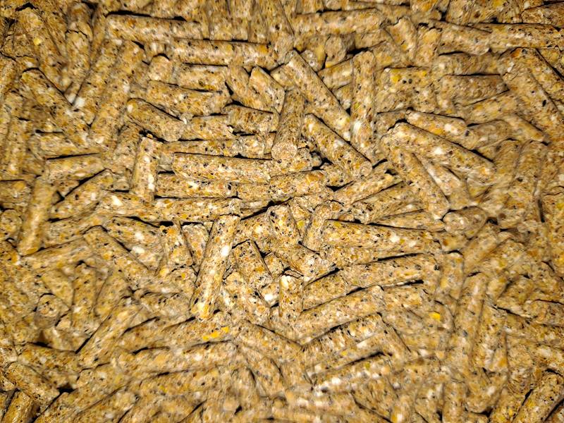 CIELAK AKORD  (worki  a 25 kg x 40 szt) GR  *