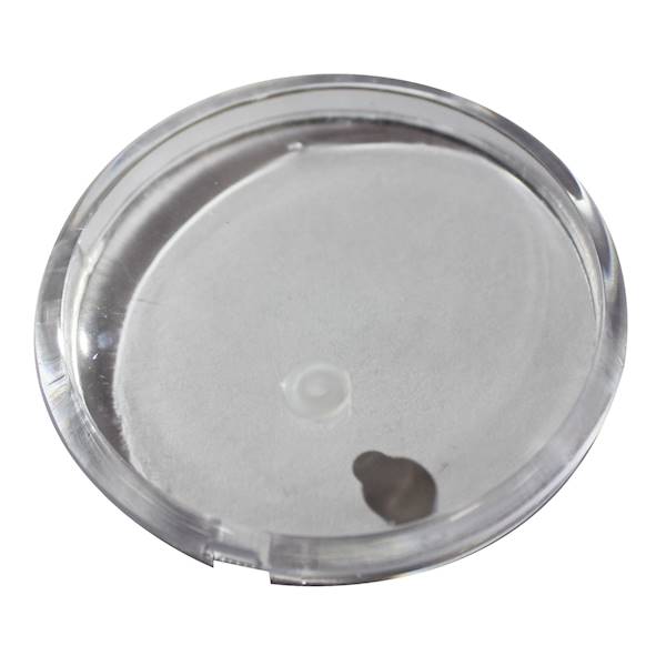 Szkiełko manometru 63 mm / 2.1/2"