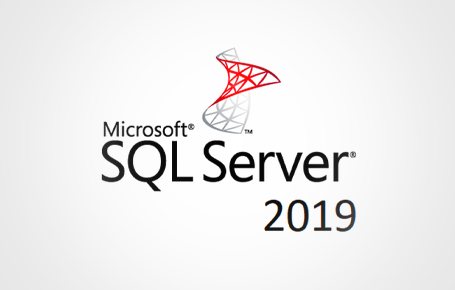 MICROSOFT SQL SERVER 2019 - OPROGRAMOWANIE SERWERÓW