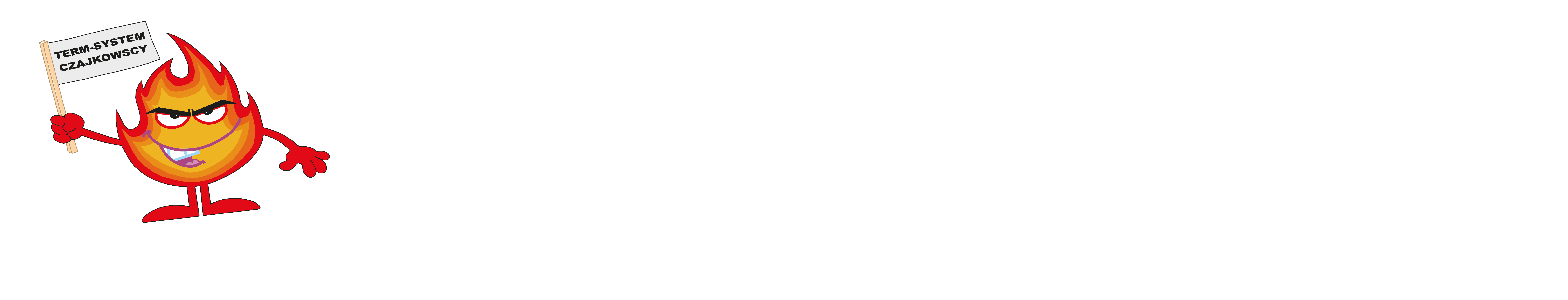 TERM-SYSTEM Paczków
