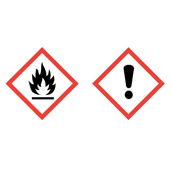 SEL Czyścik do pian 100ml butelka-spray
