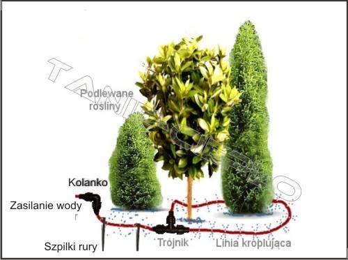 BRA DSZW-04V Zraszacz wynurzalny 4'/10cm z dyszą