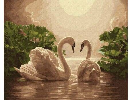 Zestaw do malowania z farbami 40x50cm PC4050270