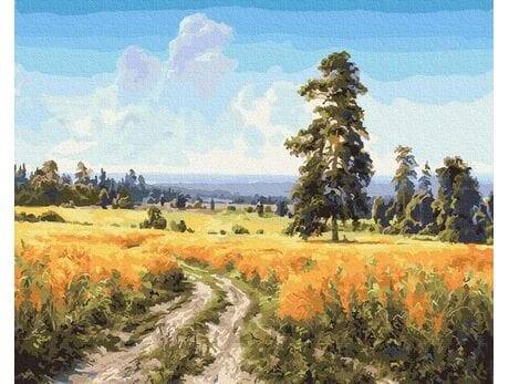 Zestaw do malowania z farbami 40x50cm PC4050495