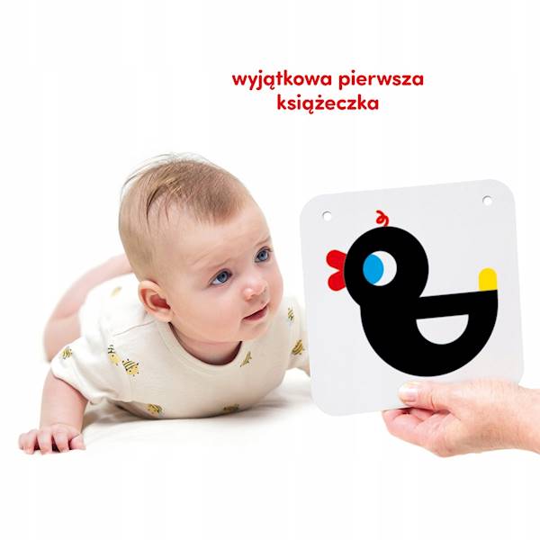 CzuCzu Duze karty kontrastowe dla dzieci
