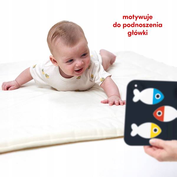 CzuCzu Duze karty kontrastowe dla dzieci
