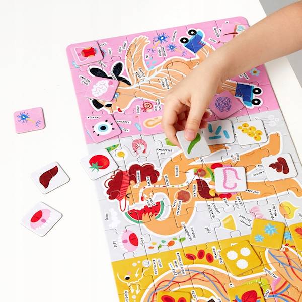 CzuCzu CzuCzu Puzzle Tak dzialamoje cialo