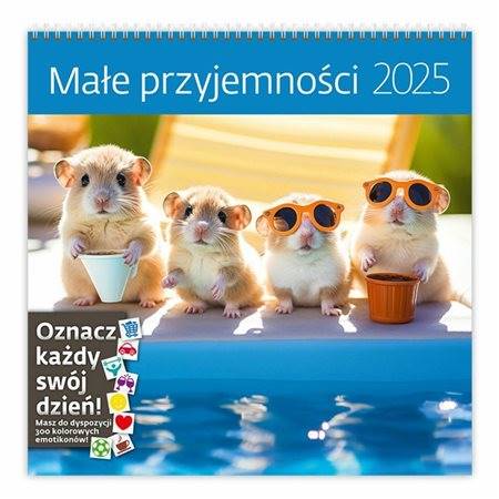KALENDARZ 2025 30X30 MAŁE PRZYJEMNOŚCI 0183
