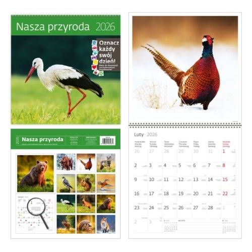 KALENDARZ 2026 30X30 NASZA PRZYRODA 4631