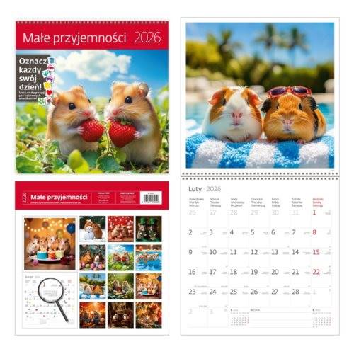 KALENDARZ 2026 30X30 MAŁE PRZYJEMNOŚCI 4648