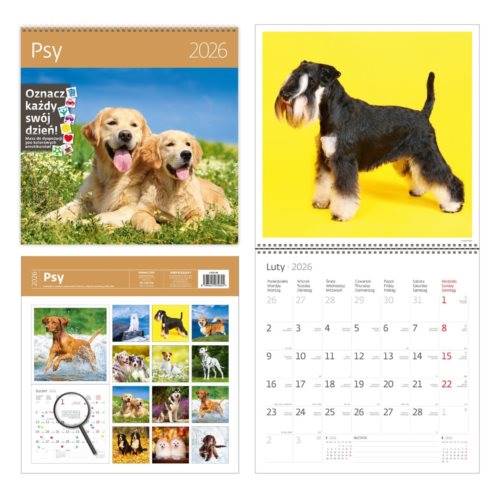 KALENDARZ 2026 30X30 Psy 4624