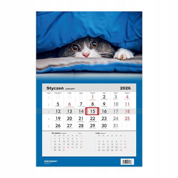 KALENDARZ 2026 JEDNODZIELNY KOT 
