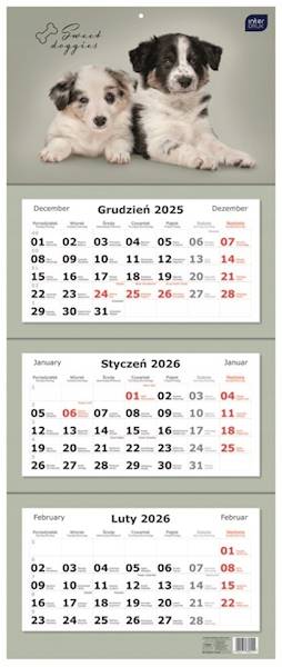 KALENDARZ TRÓDZIELNY 82,5X34CM PSY 26