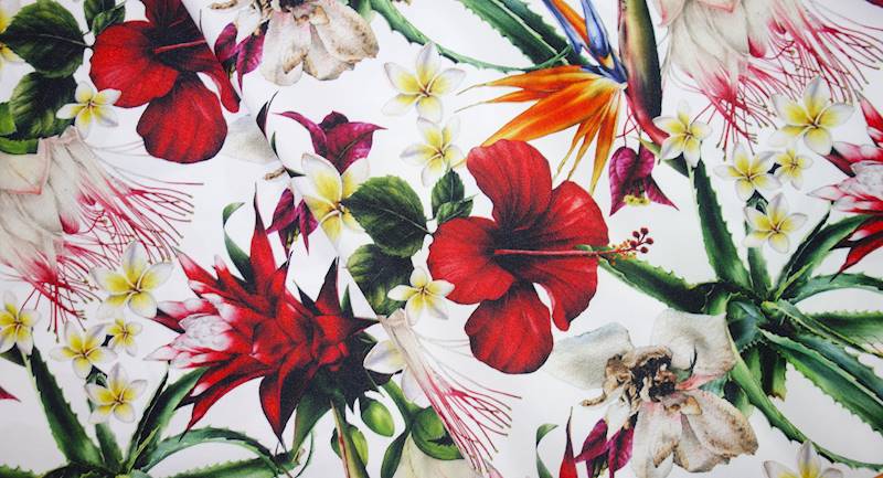 MARKIZOWY tropikalne kwiaty