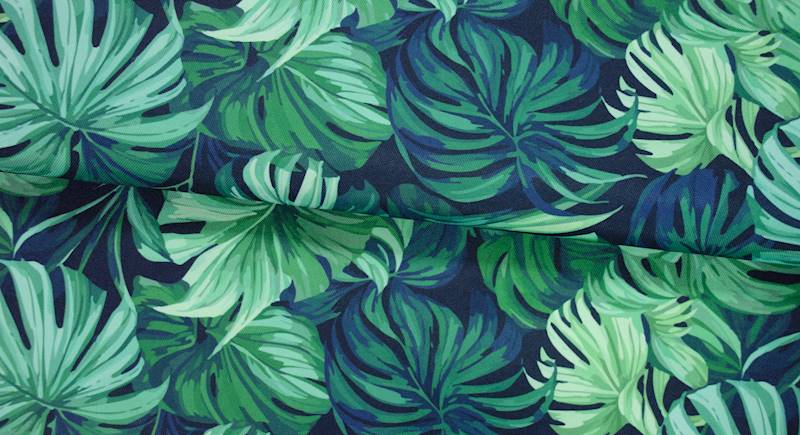 MARKIZOWY liście monstery