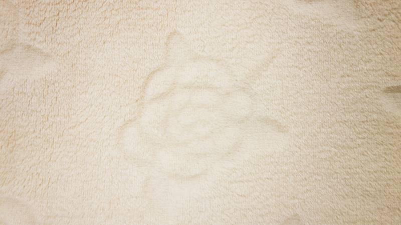 PLUSH kremowy róża